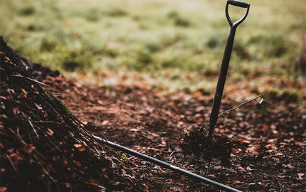 Creating a Time Capsule