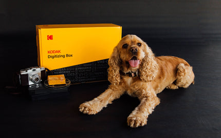 Myth Buster- Are Dogs really Color Blind?