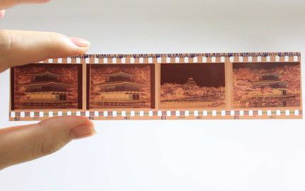 Is it Better to Digitize Old Photos or Negatives?