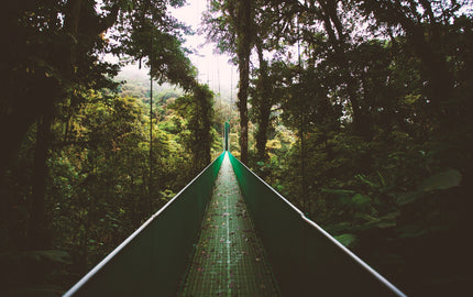 Top 10 things to do in Costa Rica